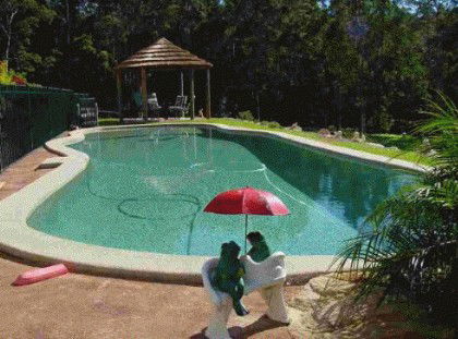 Greenacres Bed And Breakfast - Accommodation Cairns 4