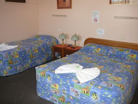 Civic Motel Grafton - Accommodation Cairns 2