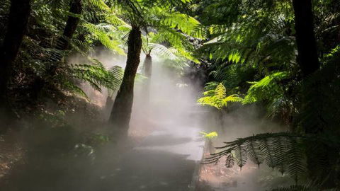 Australian National Botanic Gardens - Accommodation Cairns 4