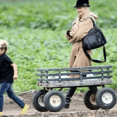 Perth City Farm Organic Markets - Accommodation Cairns