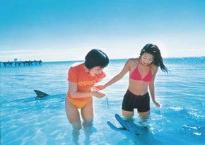  Accommodation Cairns