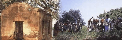 St Helena Island - Accommodation Cairns 1