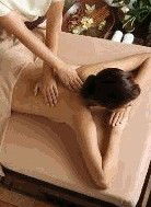 Argital Clay Australia - Accommodation Cairns 1