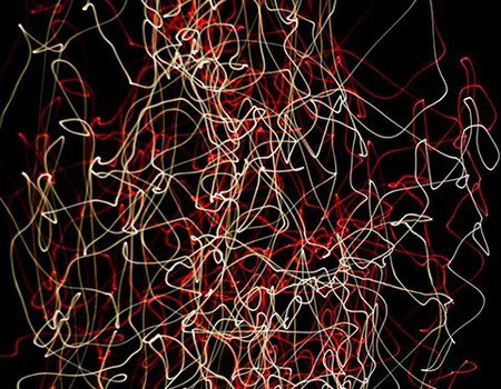 Eleven40 Gallery - Accommodation Cairns 1