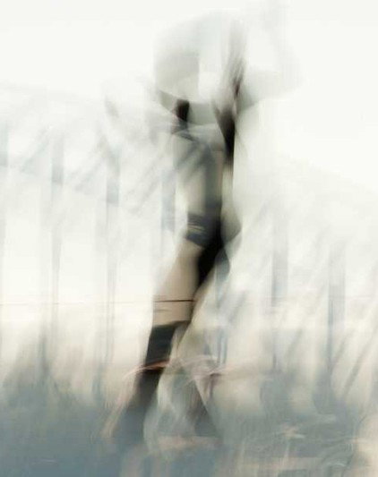 Eleven40 Gallery - Accommodation Cairns 2