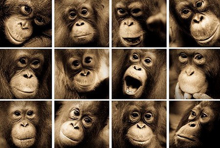 Eleven40 Gallery - Accommodation Cairns 3