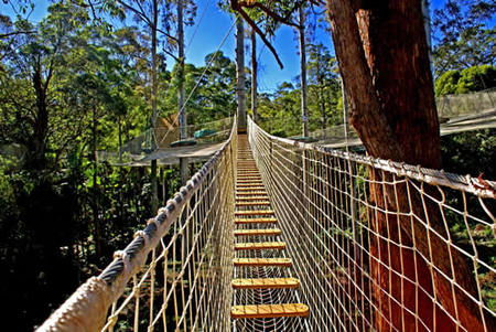  Accommodation Cairns