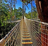 Thunderbird Park - Accommodation Cairns