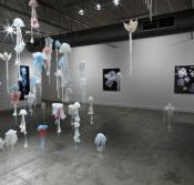 Nellie Castan Gallery - Accommodation Cairns