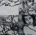 PG Printmaker Gallery - Accommodation Cairns 0