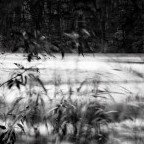 Colour Factory Gallery - Accommodation Cairns 2