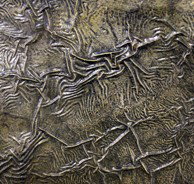 Hawthorn Studio & Gallery - Accommodation Cairns 0