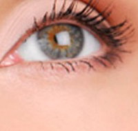 Cinnamon Stix Hair  Day Spa - Accommodation Cairns