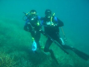 Pelican Charters - Accommodation Cairns 1