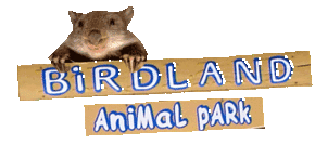 Birdland Animal Park - Accommodation Cairns