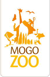 Mogo Zoo - Accommodation Cairns
