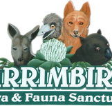 Wirrimbirra Sanctuary - Accommodation Cairns