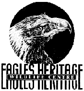 Eagles Heritage - Accommodation Cairns