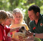 Cleland Wildlife Park - Accommodation Cairns