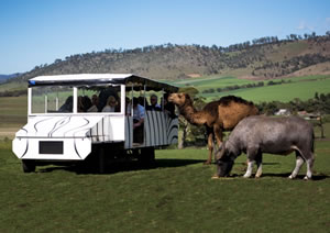 Zoo Doo Wildlife Park - Accommodation Cairns 2