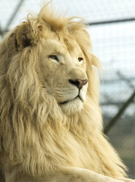 Zoo Doo Wildlife Park - Accommodation Cairns 3