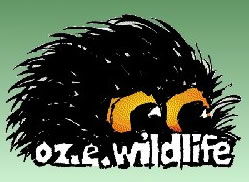 OZe Wildlife - Accommodation Cairns 0