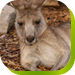  Accommodation Cairns