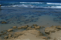 Braddon ACT Accommodation Cairns