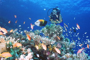 The Whitsundays QLD Accommodation Cairns