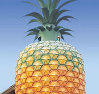 The Big Pineapple - Accommodation Cairns
