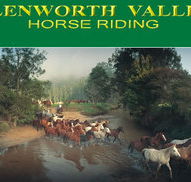 Glenworth Valley Horseriding - Accommodation Cairns