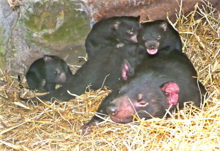  Accommodation Cairns