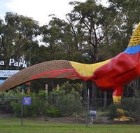 Gumbuya Park - Accommodation Cairns