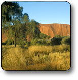  Accommodation Cairns