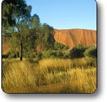 Uluru - Kata Tjuta National Park - Accommodation Cairns