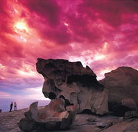 Kangaroo Island Adventure Tour 2 day/1 night - Accommodation Cairns