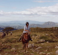 High Country Horses - Accommodation Cairns