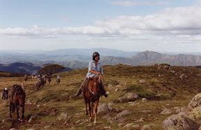 High Country Horses - Accommodation Cairns 0