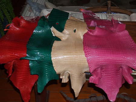 Koorana Saltwater Crocodile Farm - Accommodation Cairns 2