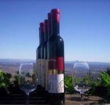 Mount Tamborine Winery  Homestead - Accommodation Cairns
