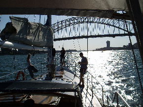 Kalypso Cruises - Accommodation Cairns 2