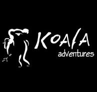 Koala Adventures - Accommodation Cairns