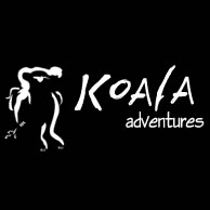 Koala Adventures - Accommodation Cairns 0