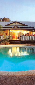 Koala Adventures - Accommodation Cairns 2