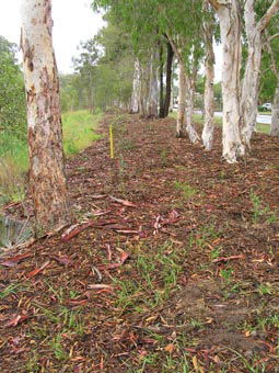 Kumbartcho Sanctuary - Accommodation Cairns 1