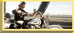 Easy Rider - Accommodation Cairns 2