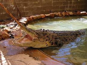 North West WA Accommodation Cairns