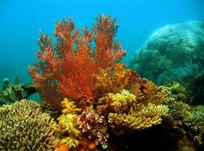  Accommodation Cairns