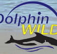 Dolphin Wild - Accommodation Cairns