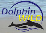 Dolphin Wild - Accommodation Cairns 0